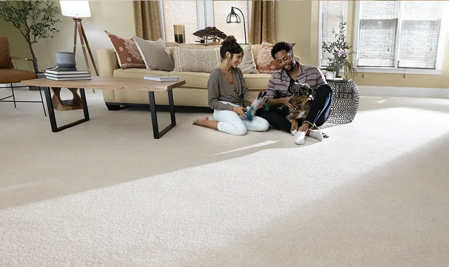 Mohawk SmartClean Carpet